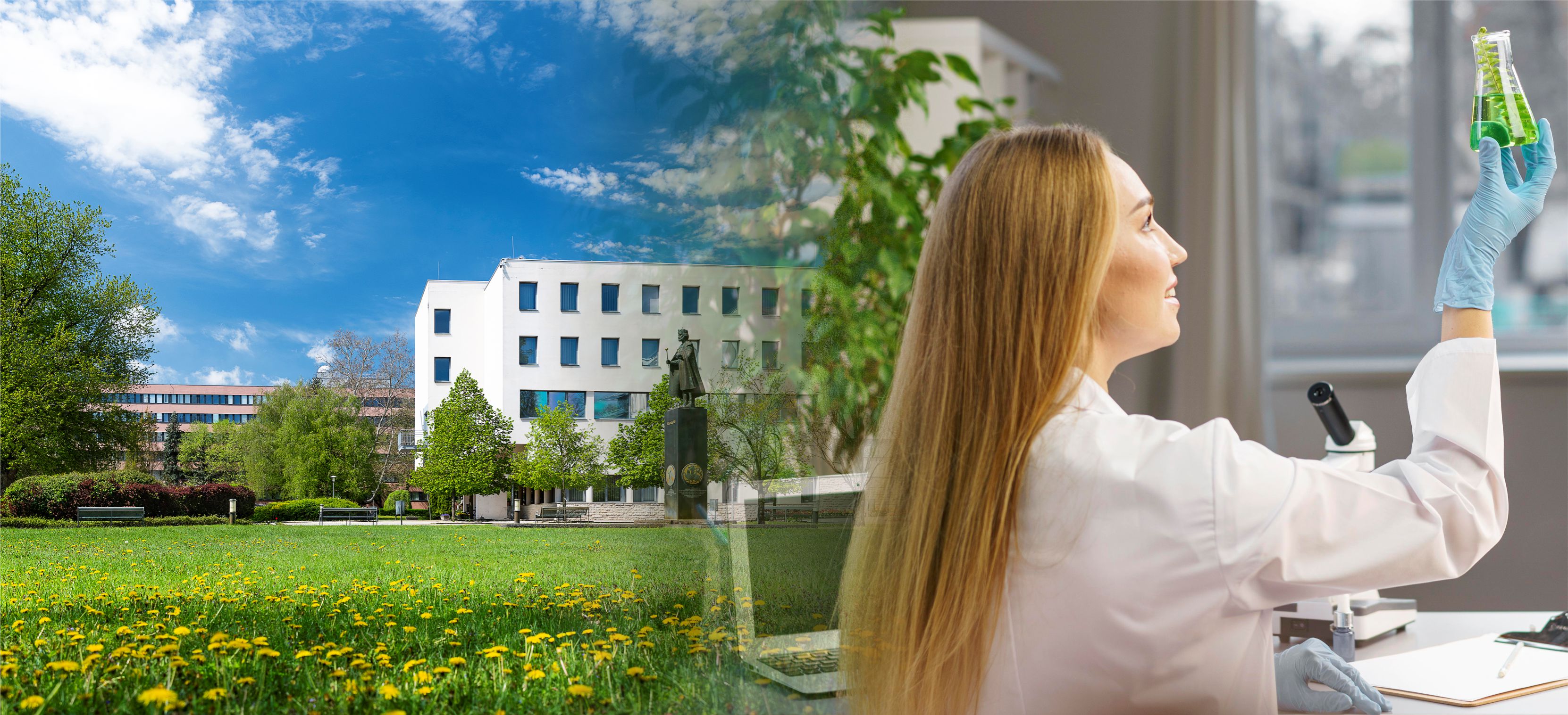 Nyíregyházi Egyetem Technológia- és Tudástranszfer Kft